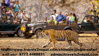 Illustration for article titled A Discovery of Chitwan National Park in Nepal